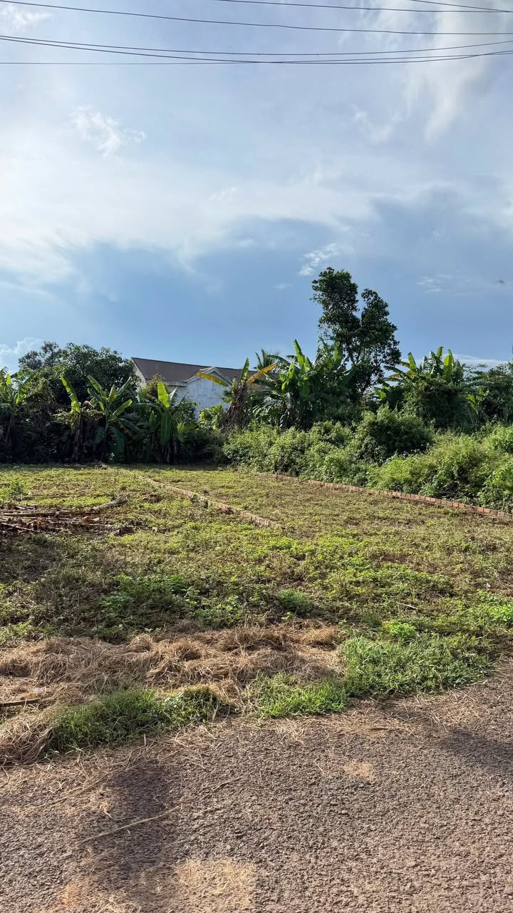 Mặt tiền kinh doanh đường 19/5, Ea Kao, 130m² chỉ 950 triệu - Đầu tư sinh lời ngay!