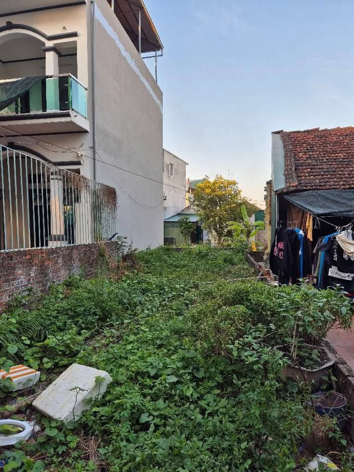 Đất nền Ngọc Hồi, Thanh Trì 65m² giá 2 tỷ - Không quy hoạch, mặt tiền 4m!