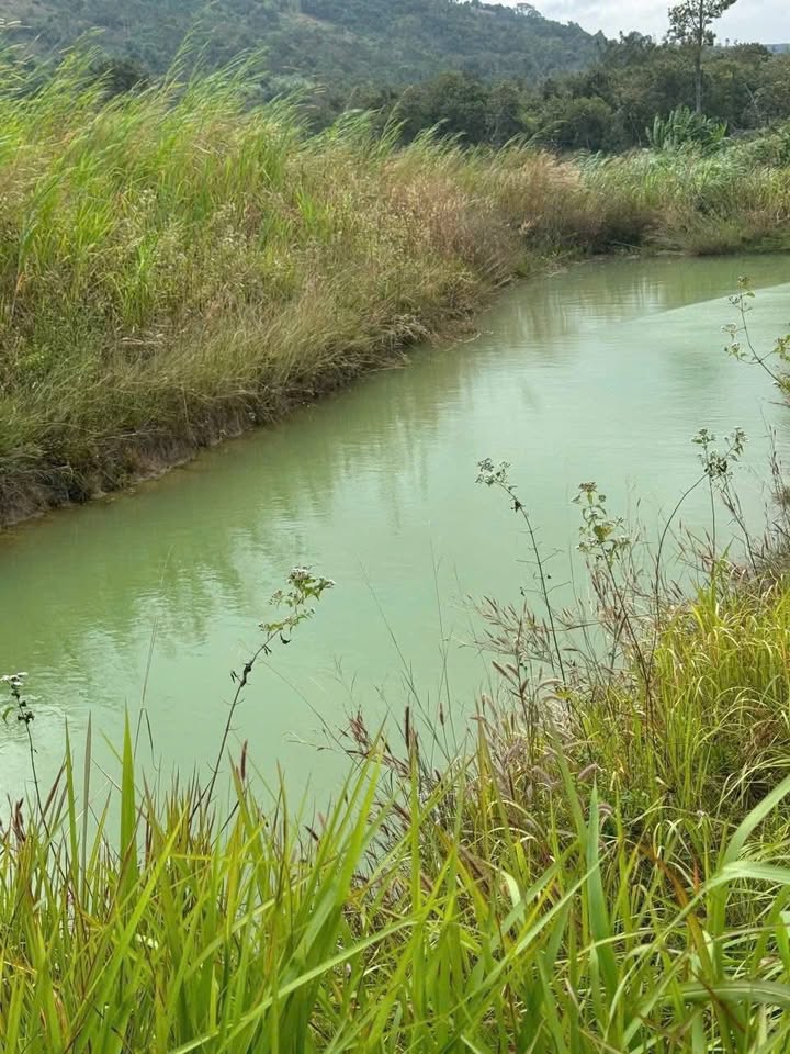 Đất nền Cư Mốt, Ea H'leo, Đắk Lắk 16.000m² giá 150 triệu - Cơ hội đầu tư hấp dẫn!