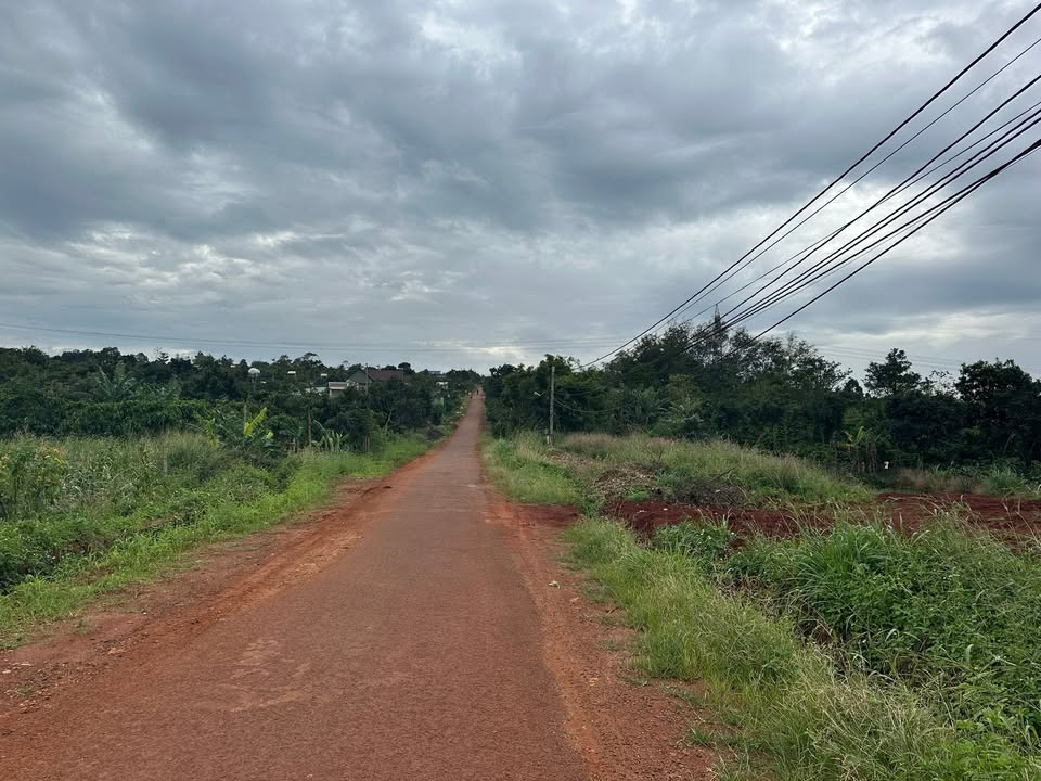 Đất thổ cư 160m² mặt tiền đường nhựa tại Ea Drăng giá 1.92 tỷ - Cơ hội đầu tư sinh lời!