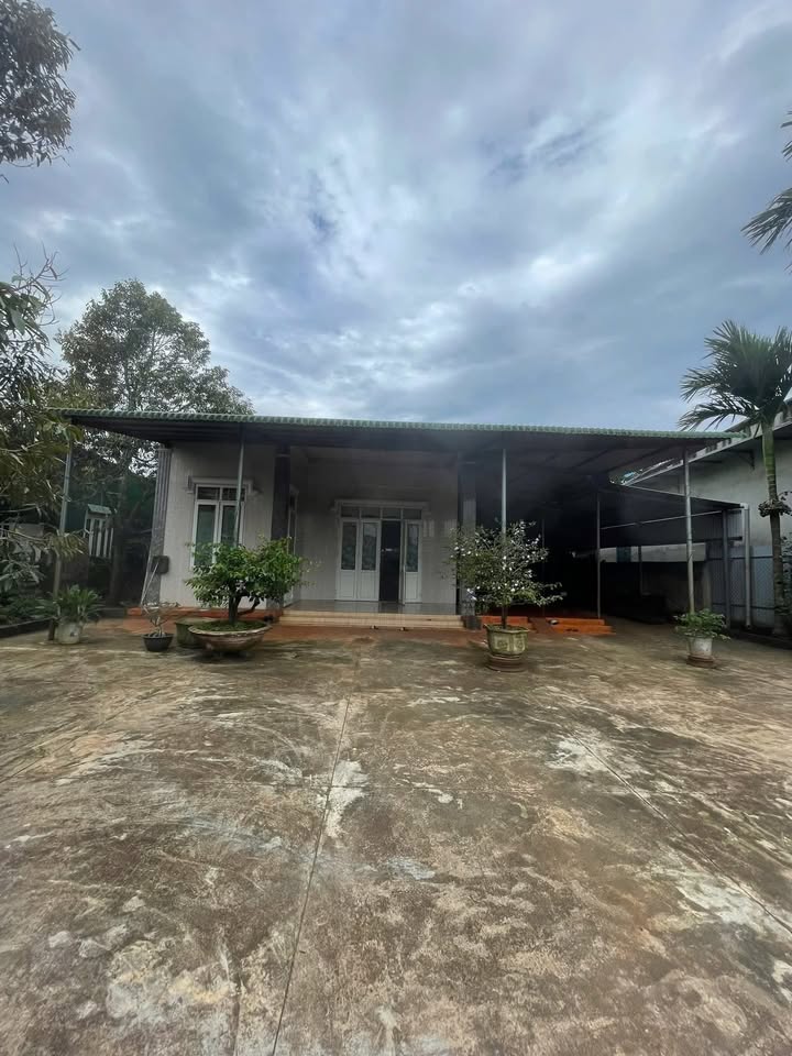 Đất thổ cư 630m² tại Ea Ral, Ea H'Leo - Giá chỉ 3.2 tỷ, cơ hội vàng cho nhà đầu tư!