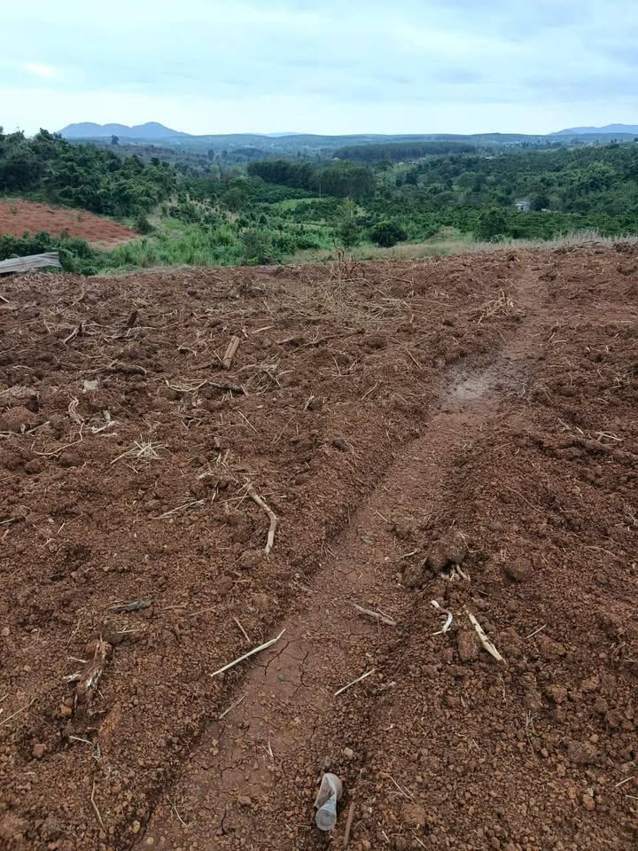 Đất nền 1ha tại thôn 8, xã Ea Nam, giá 1.1 tỷ - Cơ hội đầu tư hấp dẫn!