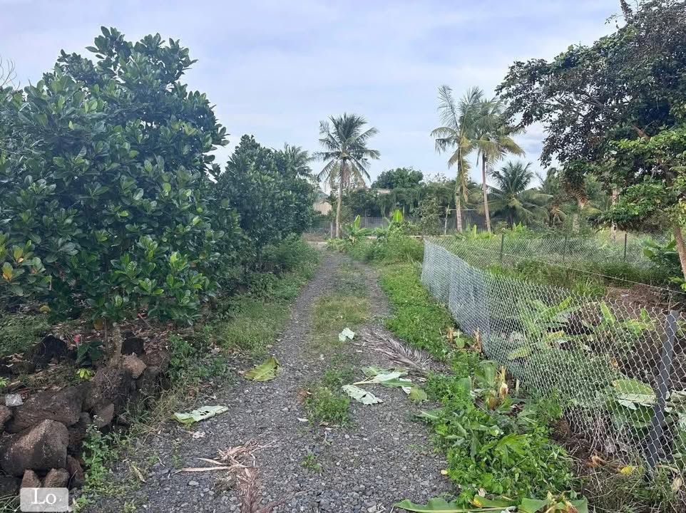 Đất nền Phú Thịnh, Tân Phú, Đồng Nai 1000m² giá 320 triệu - Sổ hồng riêng chính chủ