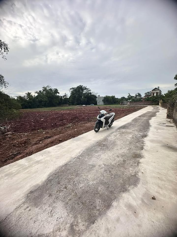 Đất nền Ngọc Châu, Tân Yên Bắc Giang 175m² giá chỉ 600 triệu - Cơ hội đầu tư tuyệt vời!