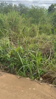 Đất nền thôn 7, xã Ea Nam, 1500m² giá 999 triệu - Sổ đỏ chính chủ, bớt lộc!