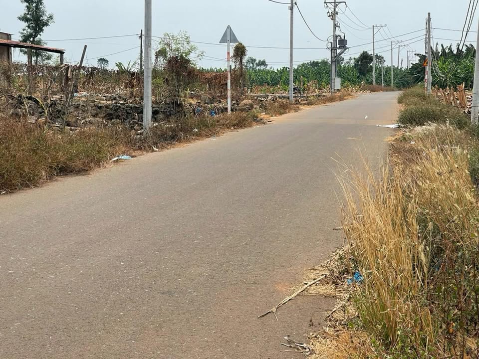 Đất nền 1266m² 2 mặt tiền Trảng Bom - Chỉ 1 tỷ, cơ hội đầu tư sinh lời!