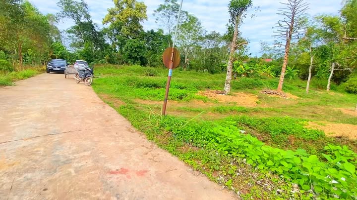 Đất nền Tân Hiệp, Yên Thế, Bắc Giang, 213m² giá chỉ 4xx triệu - Mặt tiền đường liên xã