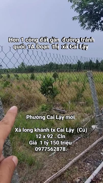 Đất nền Cai Lậy Tiền Giang 1000m² giá 1.15 tỷ - Đầu tư sinh lời ngay!