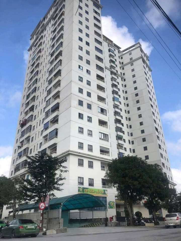 Căn hộ Tecco Bến Thủy 61m² giá 2 tỷ - Nội thất cơ bản đầy đủ