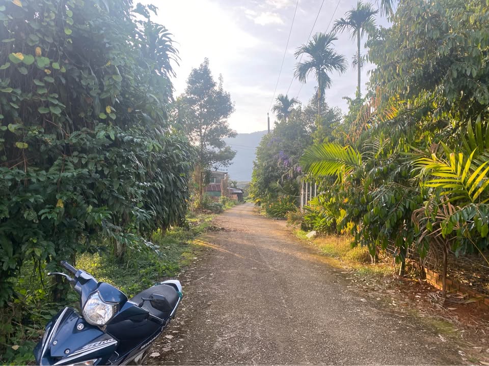 Đất thổ cư Đạ Huoai 13.320m² giá 1,8 tỷ - Cơ hội đầu tư sinh lời!