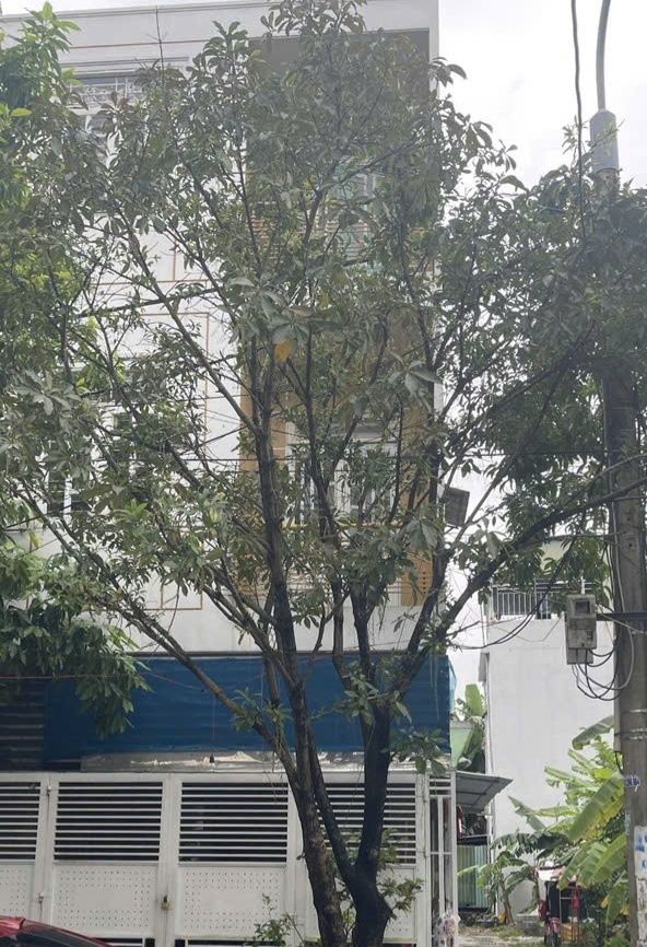 Nhà mặt tiền Chơn Tâm 9, Đà Nẵng 85m² giá 5.59 tỷ - Chính chủ bán gấp!