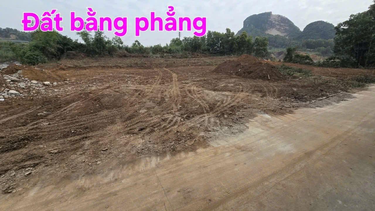 Đất liền kề Thanh Nghị, Thanh Liêm 241m² giá chỉ 500 triệu - Đầu tư sinh lời cao!