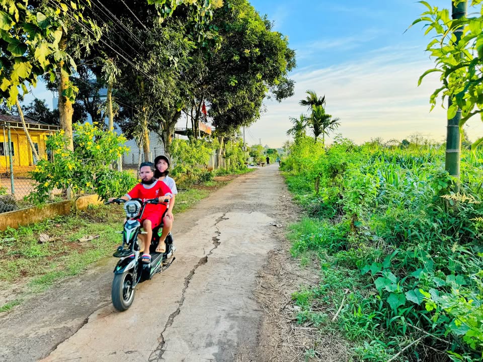 Đất liền kề Cư Suê 210m² giá 600 triệu - Hàng hiếm, sổ đỏ chính chủ!