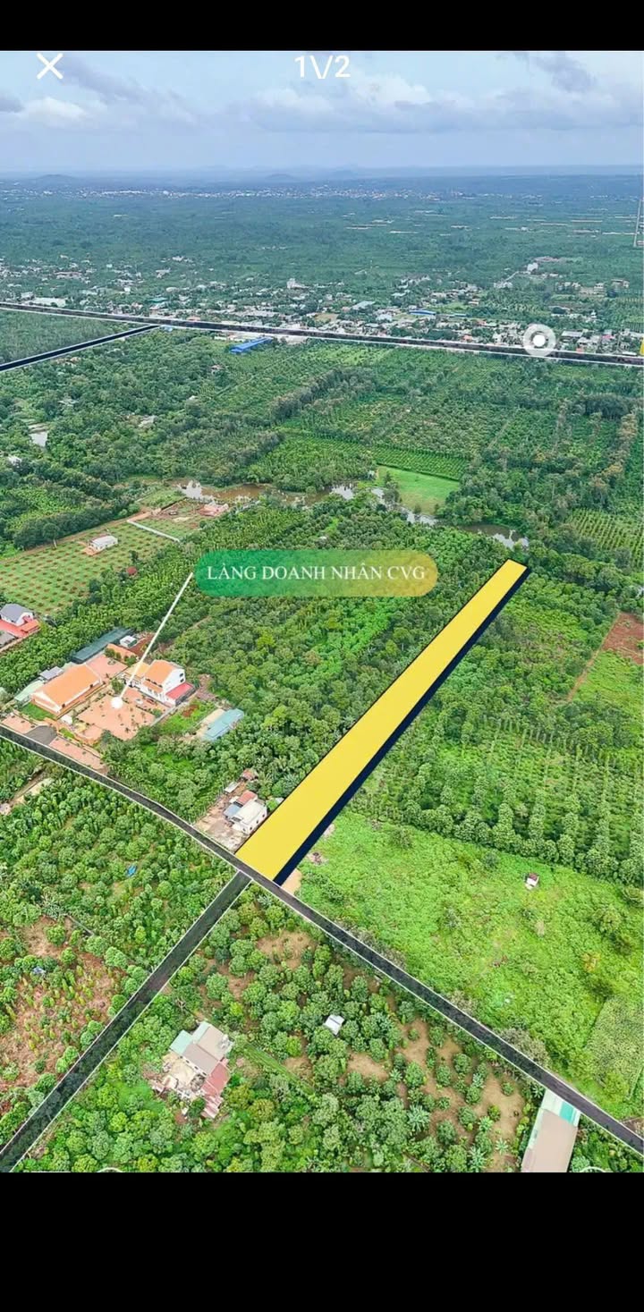 Đất nền Hòa Đông, Krông Pắc 82m² giá 800 triệu - Sổ đỏ chính chủ, đường bê tông rộng!