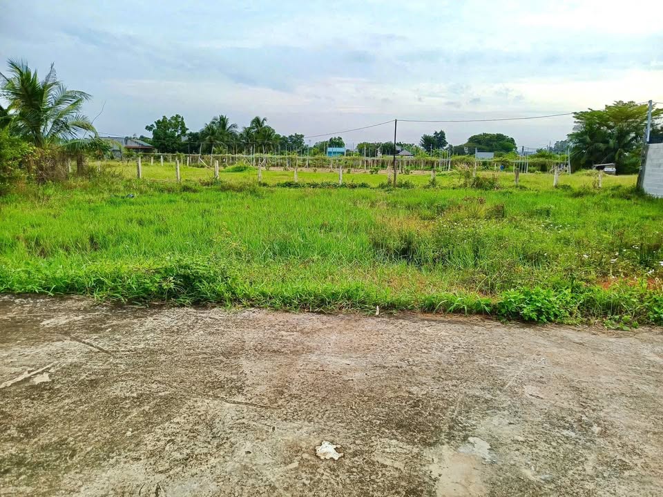 Đất thổ cư Phong Nẫm 84m² giá chỉ 600 triệu - Cơ hội vàng cho nhà đầu tư!