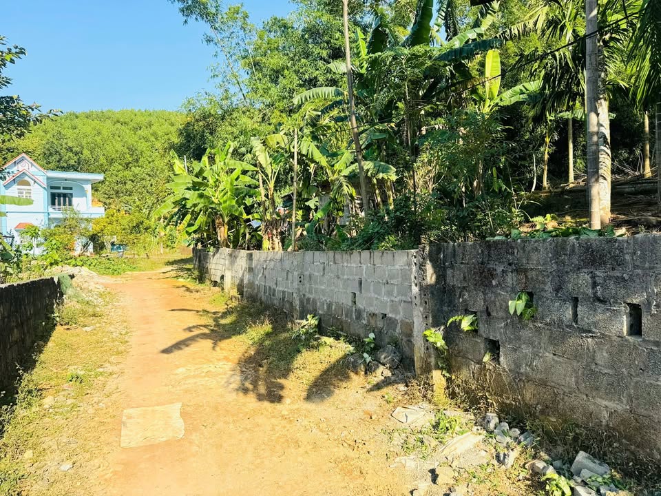 Đất nền Nam Thượng, Kim Bôi 500m² giá chỉ 2 triệu/m² - Cơ hội đầu tư tuyệt vời!