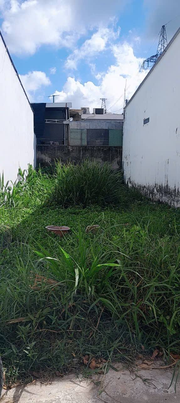 Đất nền ấp 3, xã Trung An, Mỹ Tho 80m² giá 590 triệu - Cơ hội đầu tư hấp dẫn!