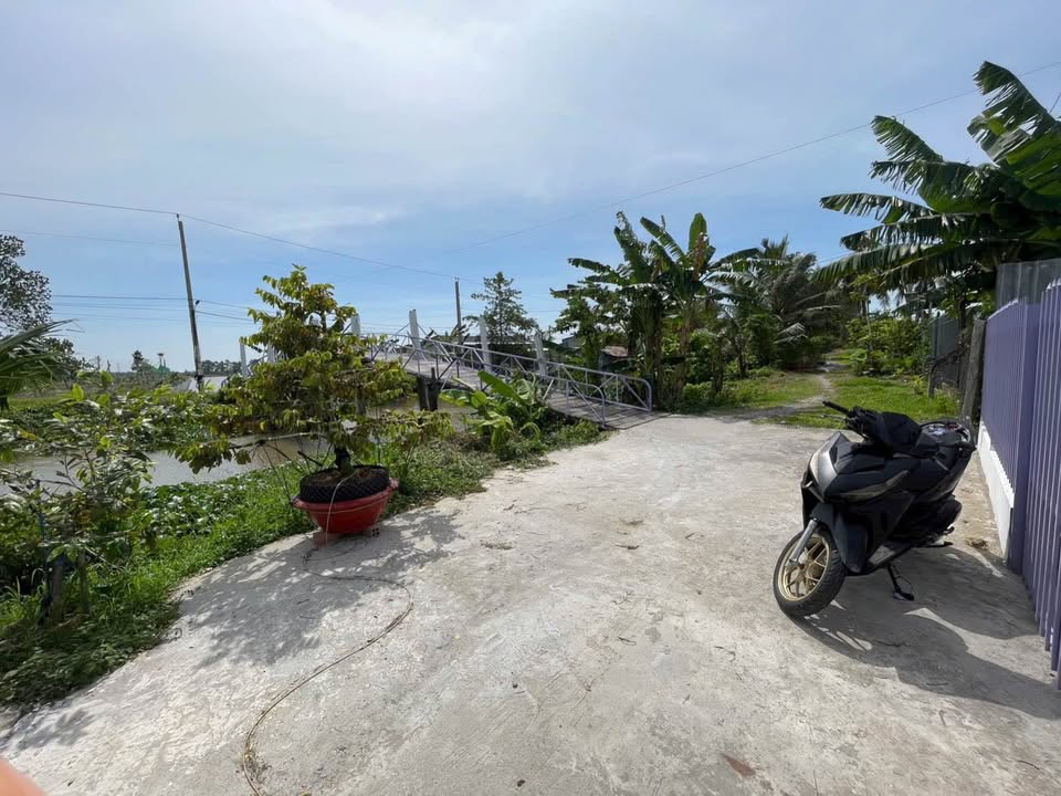 Farm Mỹ Thới 3119m² giá 1 tỷ - View đẹp, giá tốt!