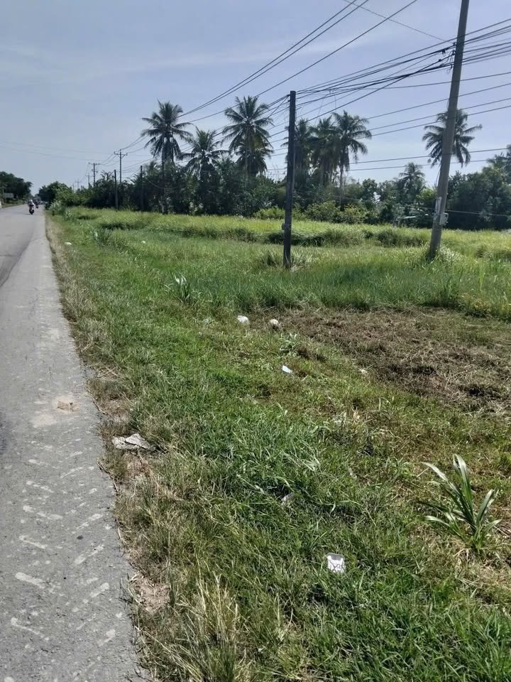 Đất nền mặt tiền Quốc Lộ 53, Long Hồ, 60000m² - Cơ hội đầu tư hấp dẫn!