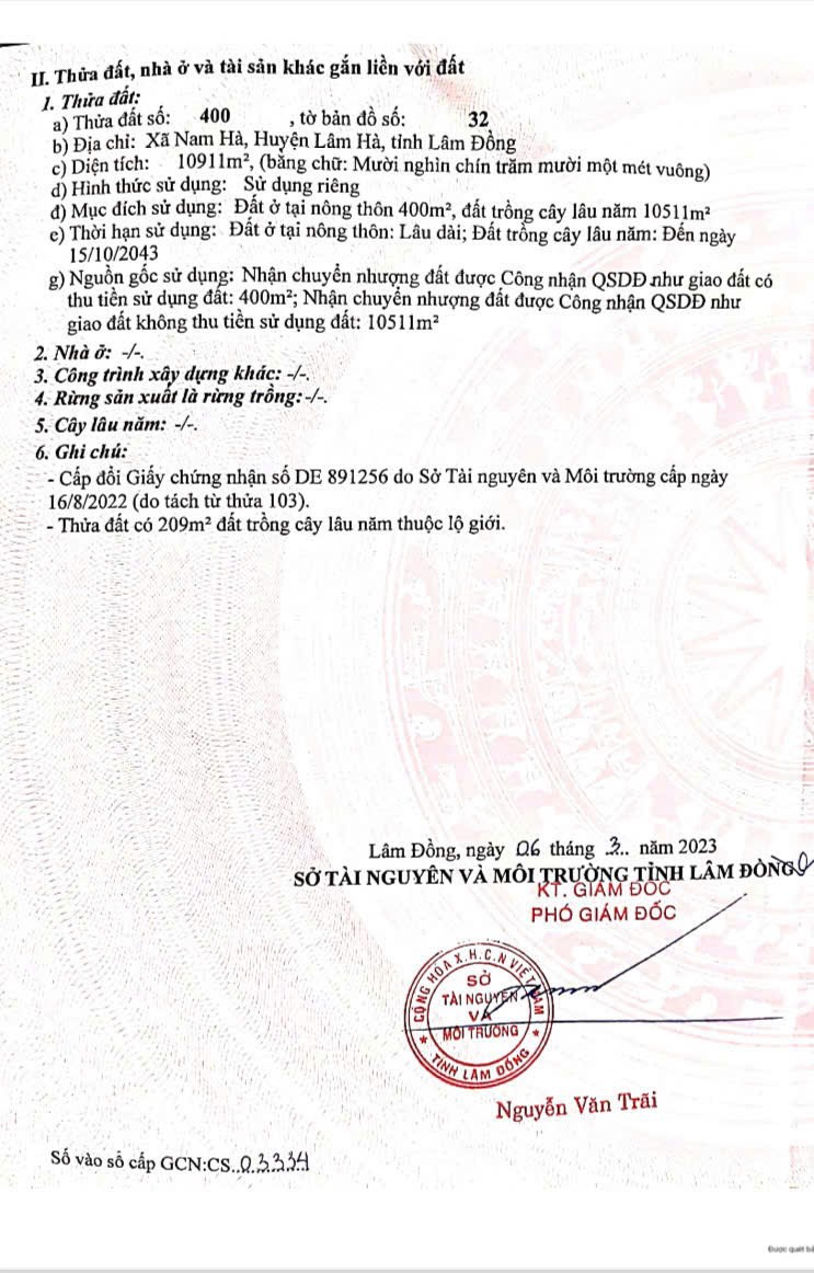 Bán 2 lô đất lô góc tại Nam Hà, Lâm Hà - Đầu tư siêu lợi nhuận với 10.911 m² và 8.090 m²