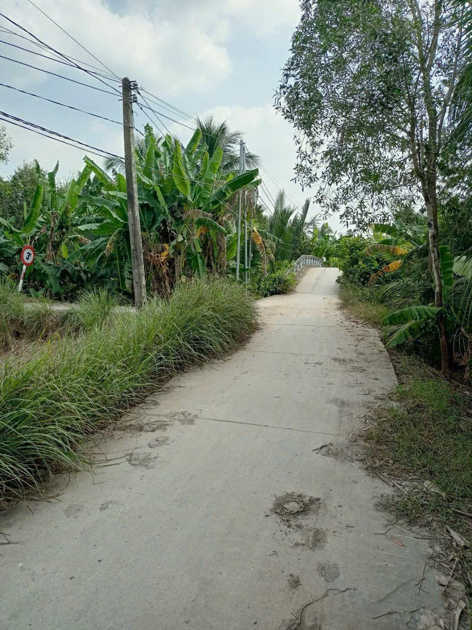 Đất mặt tiền kênh xã Tân Bửu, Bến Lức 9600m² giá chỉ 10 tỷ - Đầu tư sinh lời cao!