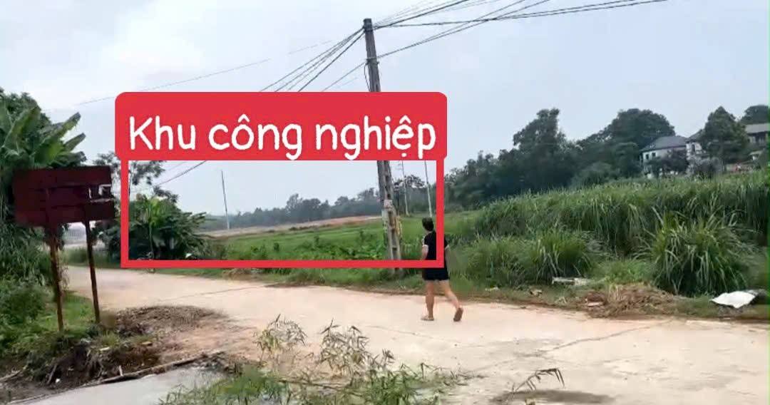 Đất nền Yên Sơn, Hướng Đạo 126m² giá 1.6 tỷ - Đầu tư sinh lời cao!