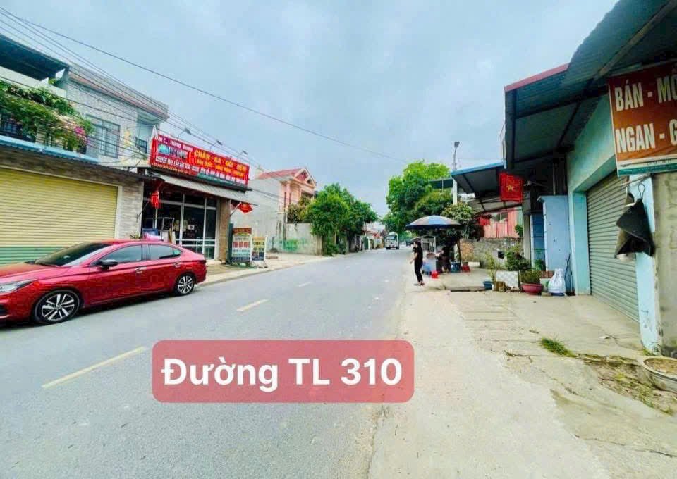 Đất thổ cư Khu 7 - Kim Long, Tam Dương, Vĩnh Phúc 73m² - Kinh doanh sầm uất!