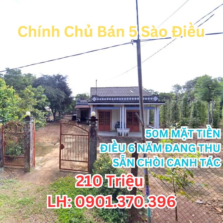 Đất nền Tân Hưng Hớn Quản 5000m² giá chỉ 210 triệu - Cơ hội đầu tư sinh lời!