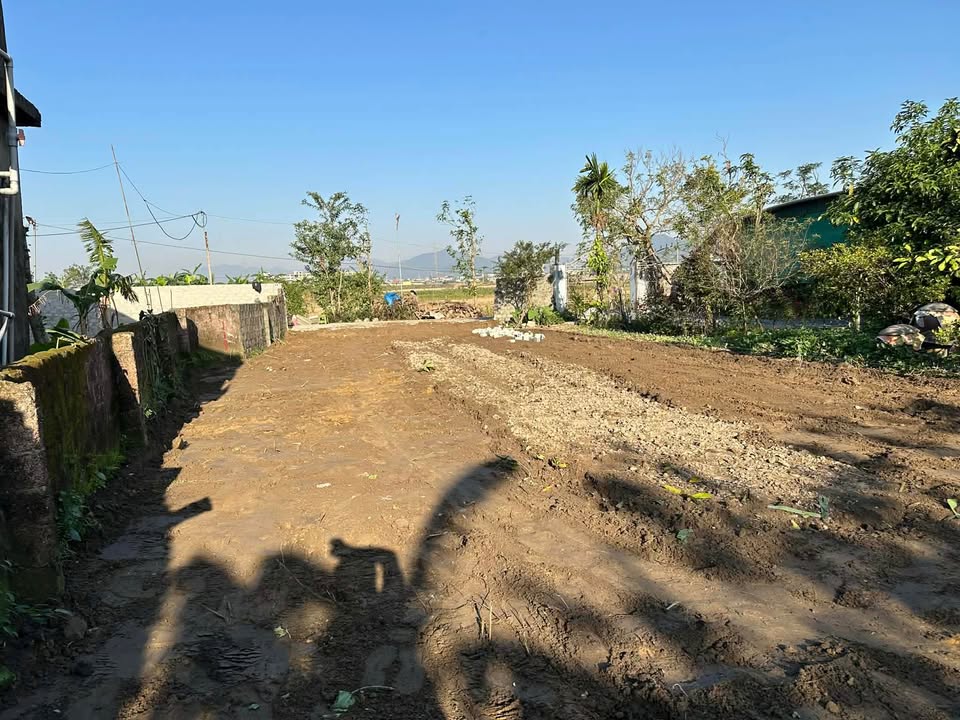 Đất nền chính chủ tại Nghi Xá, Nghi Lộc 175m² - Giá thỏa thuận hấp dẫn!