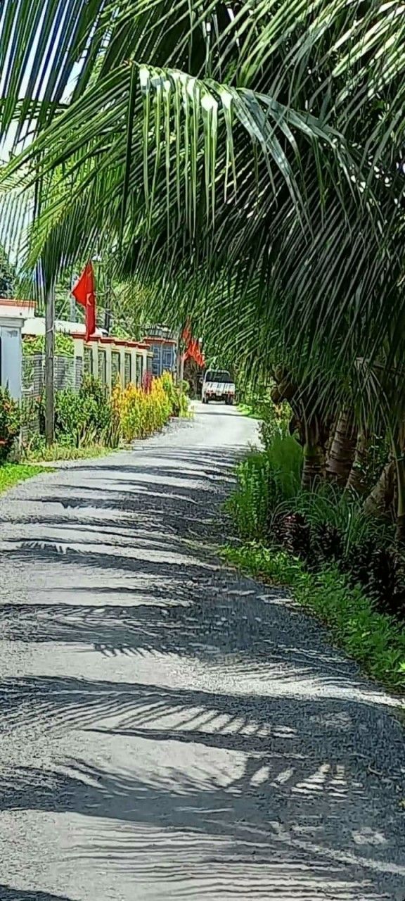 Đất nền chính chủ Phường Tân Hạnh, Vĩnh Long 115m² - Mặt tiền ô tô, gần chợ