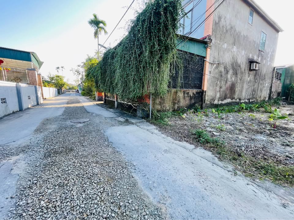 Đất nền Thạch Hà, Hà Tĩnh 125m² giá 1.6 tỷ - Vị trí trung tâm, tiềm năng phát triển!