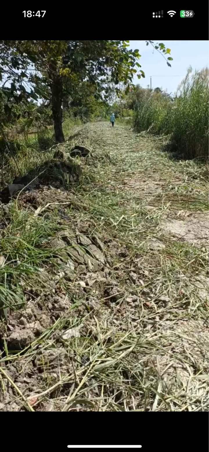 Đất vườn 2,8 công xã Mỹ Thọ, Cao Lãnh - Giá chỉ 680 triệu, thương lượng