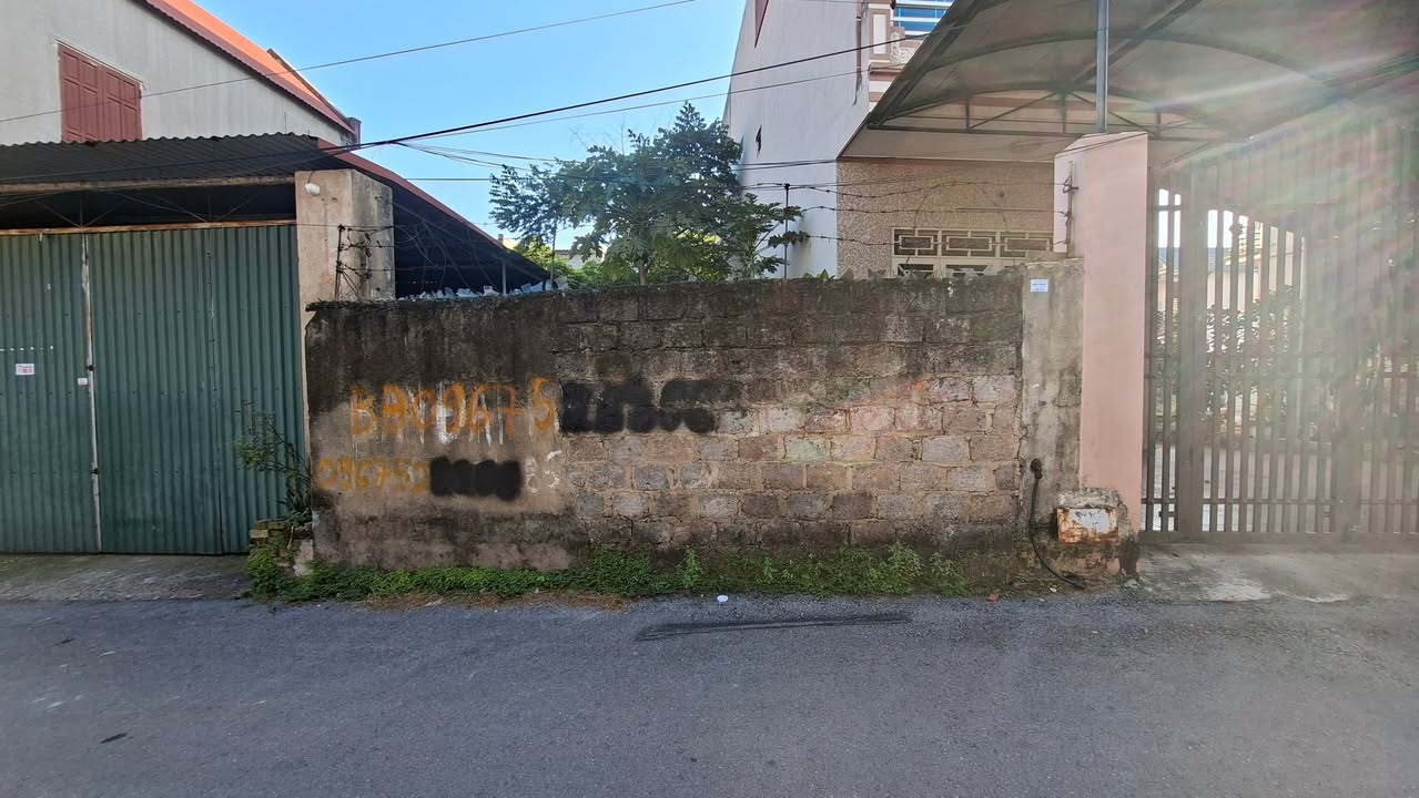 Đất thổ cư 100m² tại Thôn Riễu, Bắc Giang - Vị trí đắc địa cho đầu tư!