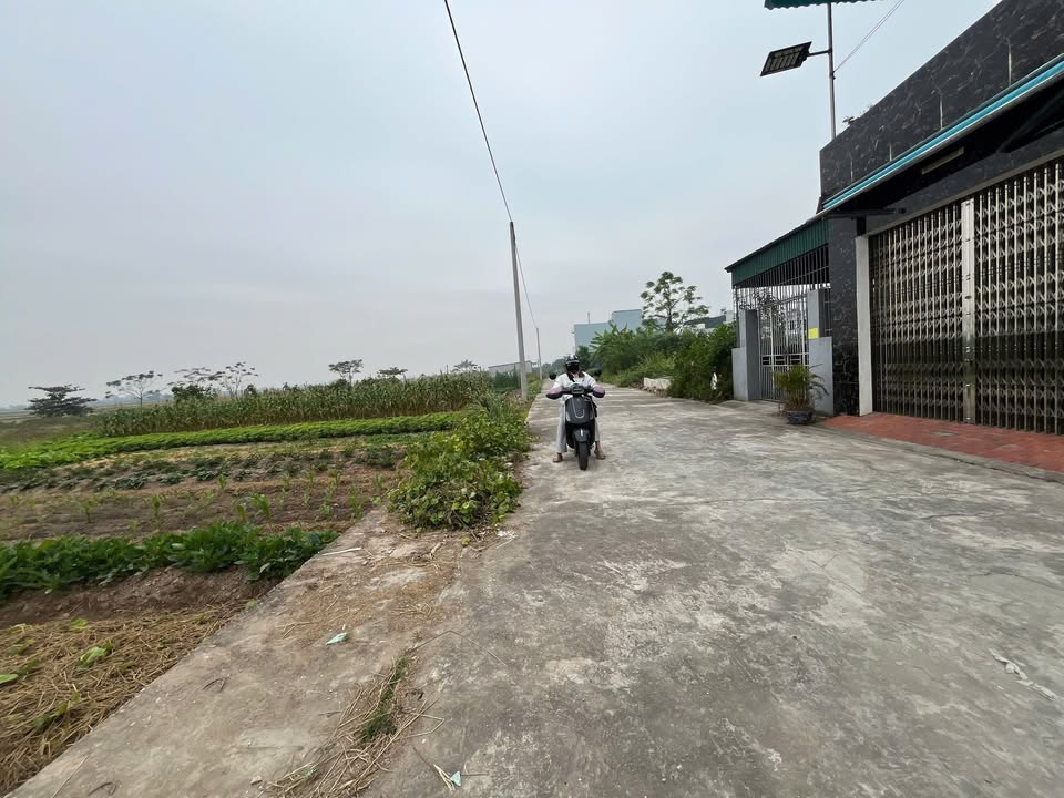 Đất tái định cư Tân Minh Song An 110m² giá 1.98 tỷ - Chủ thiện chí thương lượng