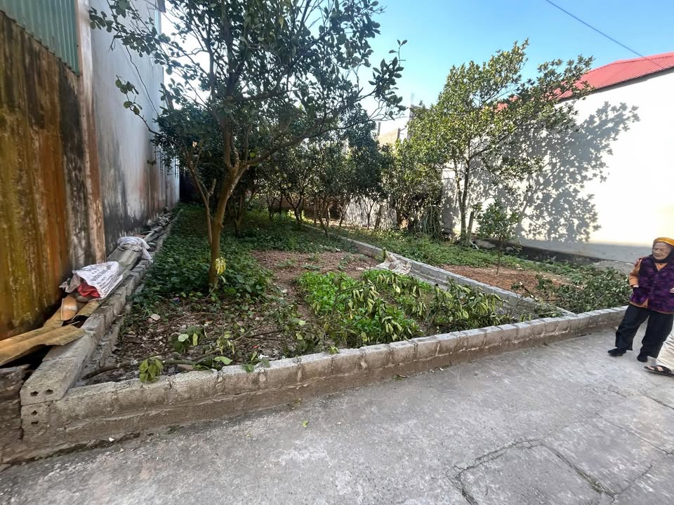 Đất nền Thường Tín 134m² giá 38 triệu - Gần Vin và khu thể thao Olympic!