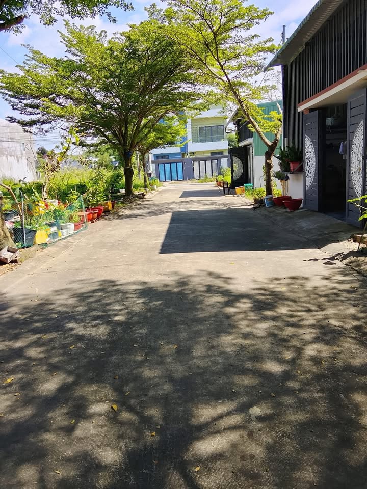 Đất thổ cư 90m² tại Tân Định, Bến Cát - Giá 950 triệu, sẵn sàng giao dịch!