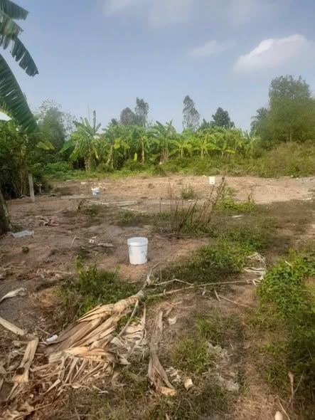 Đất thổ cư Vĩnh Công, Châu Thành 2.134m² giá 3.2 tỷ - Đầu tư lý tưởng cho nhà vườn!