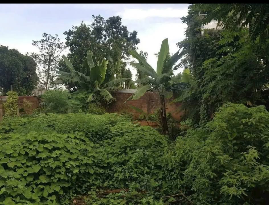 Đất hẻm Nguyễn Chí Thanh, An Phú, 213m² giá 835 triệu - Tặng nhà cấp 4