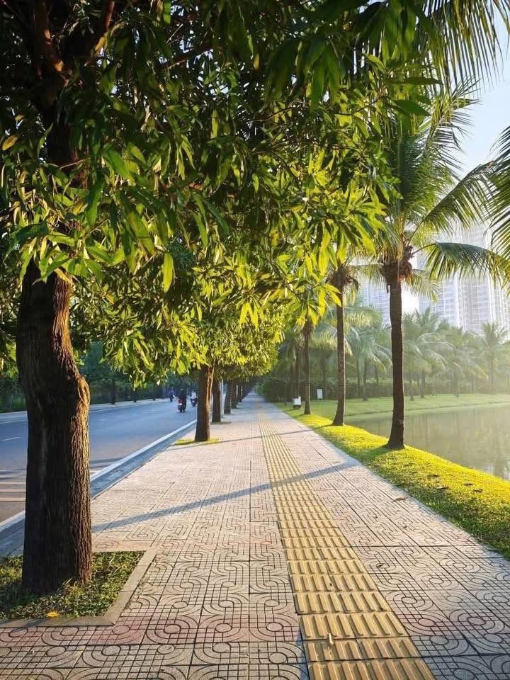 Căn hộ Vinhomes Grand Park quận 9 1PN giá 7 triệu - Sẵn sàng vào ở ngay!