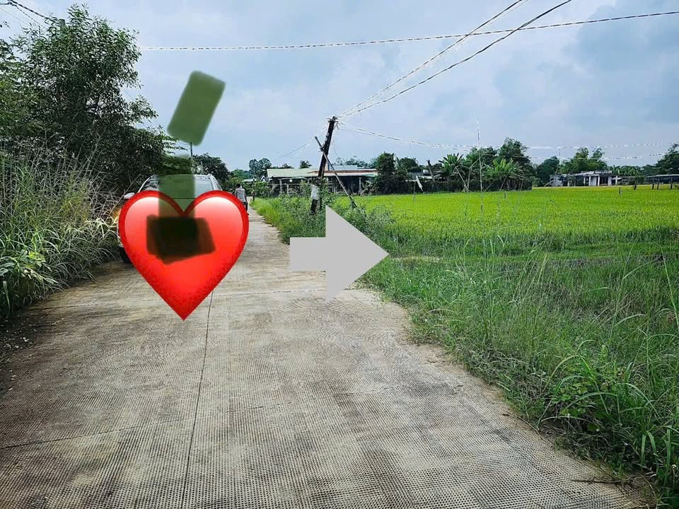 Đất lúa chính chủ bán gấp tại xã Hiệp Hòa, huyện Đức Hòa, 645m² - Giá chỉ 2 tỷ!