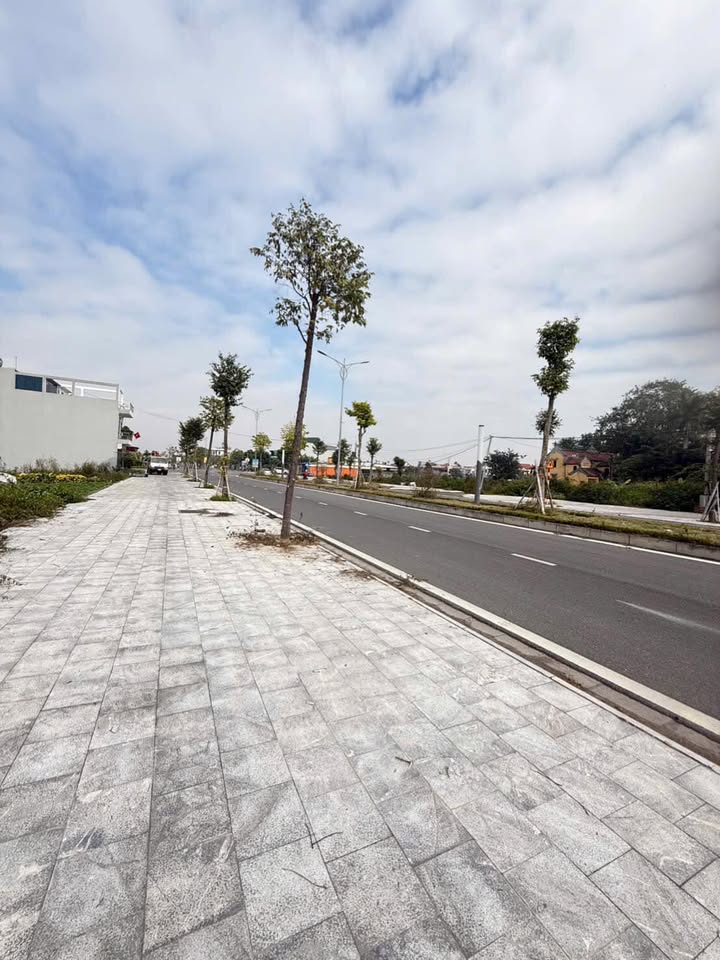 Đất mặt đường Lương Như Hộc, Tân Hưng, Hải Dương 100m² giá 5 tỷ - Vị trí kinh doanh đắc địa!