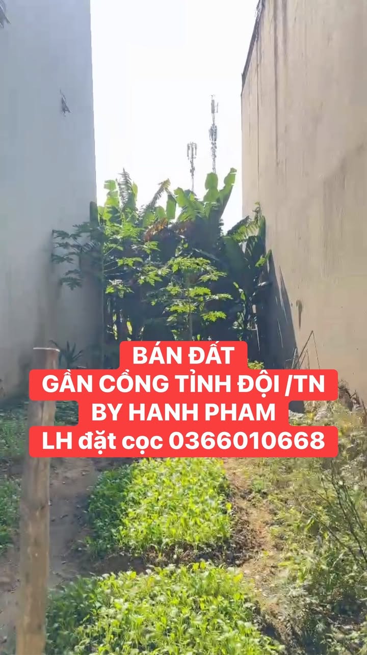 Lô đất Đồng Quang Thái Nguyên 121m² giá 300 triệu - Đầu tư hấp dẫn!