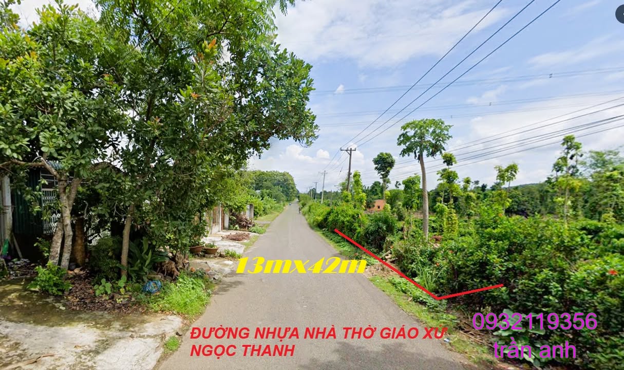 Đất nền kinh doanh 556m² xã Định Quán, Đồng Nai chỉ 1.3 tỷ - Đầu tư sinh lời ngay!