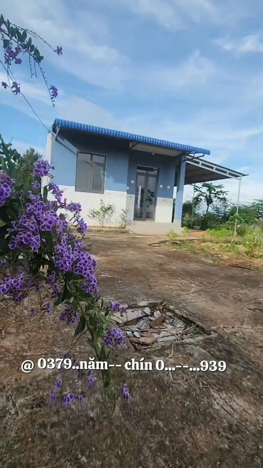 Đất nền 1000m² Đan Phượng, Lâm Hà - Cơ hội đầu tư hấp dẫn!