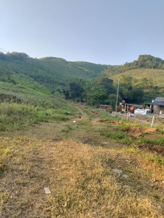 Farm nghỉ dưỡng 9999m² tại Lạc Lương, Yên Thủy - Giá chỉ 7 tỷ, đầu tư lý tưởng!