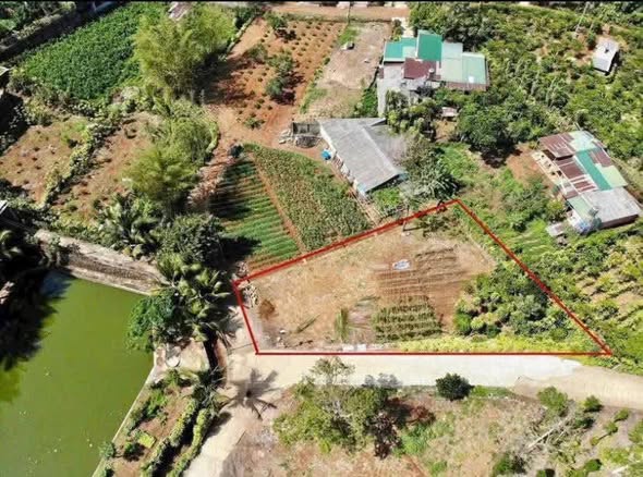 Đất nông nghiệp Bảo Lộc 739m² giá 1.3 tỷ - Hai mặt tiền ô tô vào tận nơi!