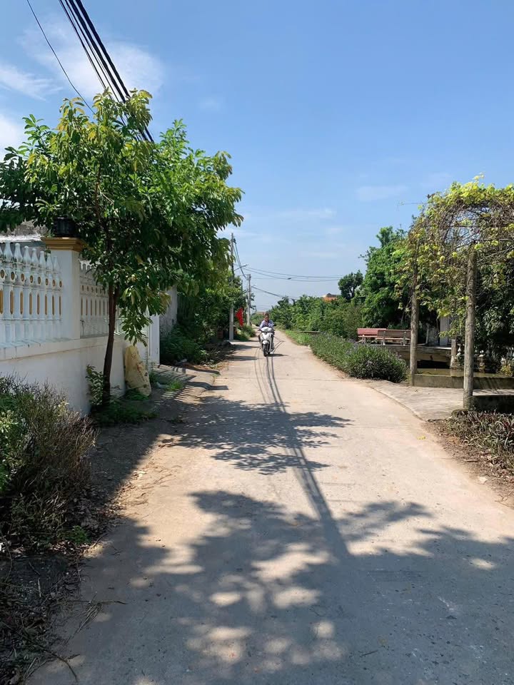 Đất nền Lương Tài 118m² giá đầu tư - Sổ hồng chính chủ, nở hậu đẹp!