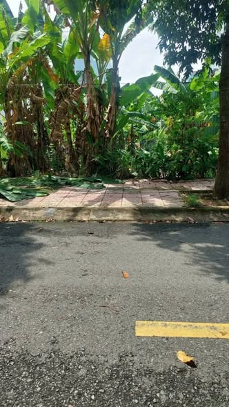 Đất nền KDC AEON, đường D1, phường 6, 72m² giá 2.05 tỷ - Lô đẹp duy nhất!