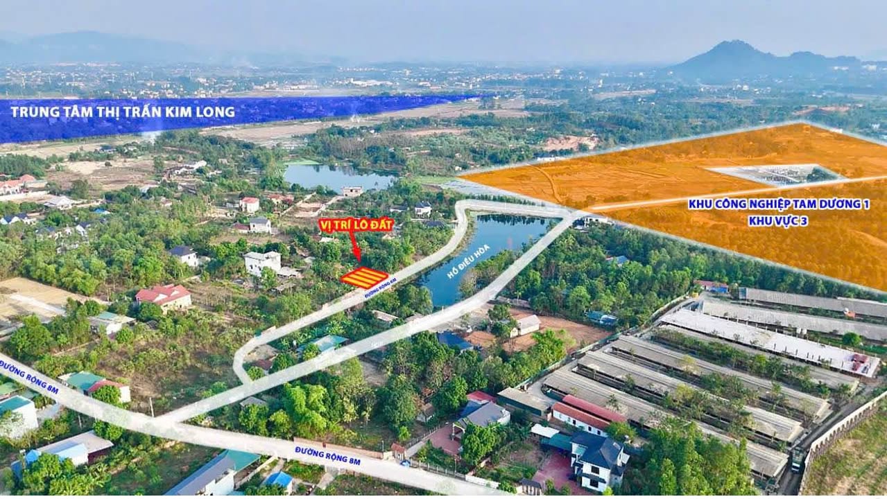 Đất nền Thôn Mé, Hướng Đạo, Tam Dương 100m² giá 1.2 tỷ - Tiềm năng tăng giá mạnh!