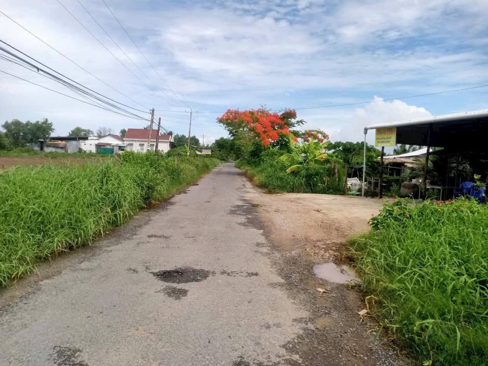 Đất nền 327,8m² tại Ấp Đồng Tâm B, Tân Duyệt - Đầu tư sinh lời hấp dẫn!